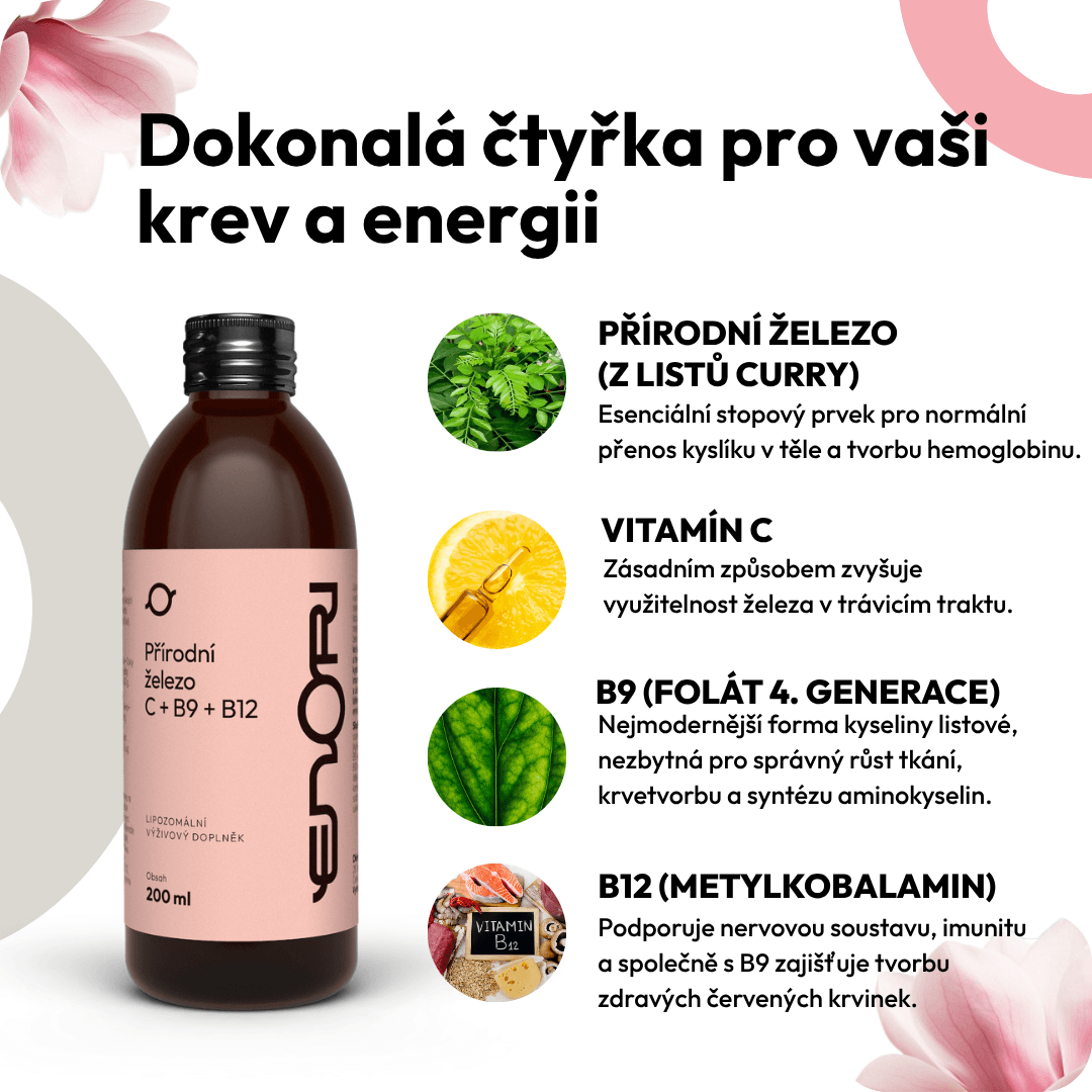 Železo+C+B9+B12 6 CZ